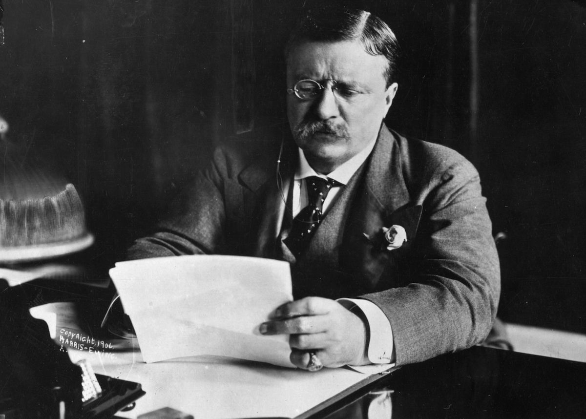 Theodore Roosevelt