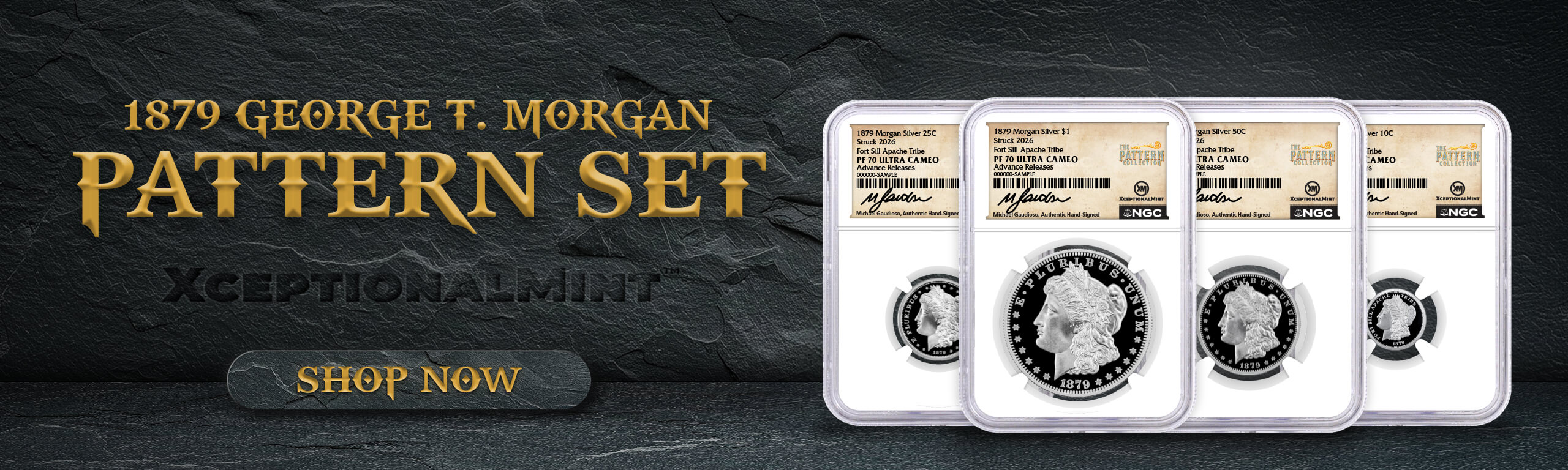 1879 Morgan Pattern Set