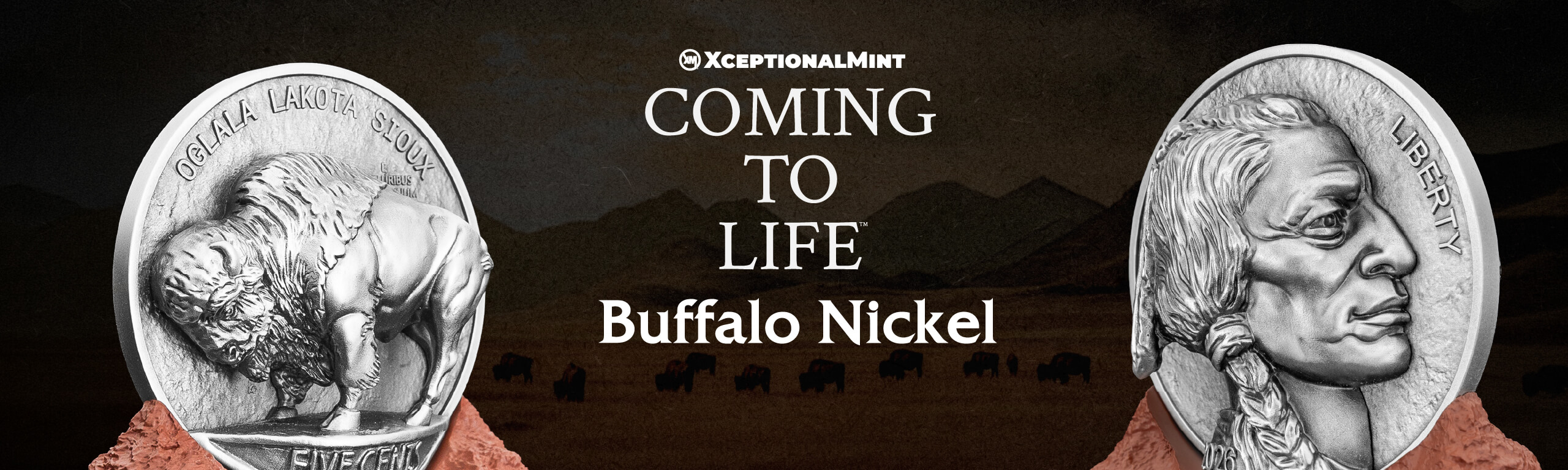 Coming To Life Buffalo Nickel